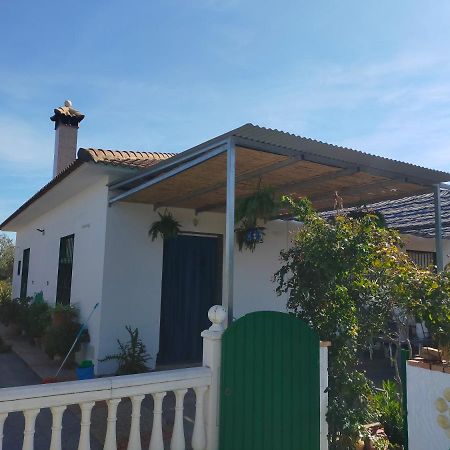 Alojamiento Rural La Perdiz La Puebla de los Infantes Ngoại thất bức ảnh