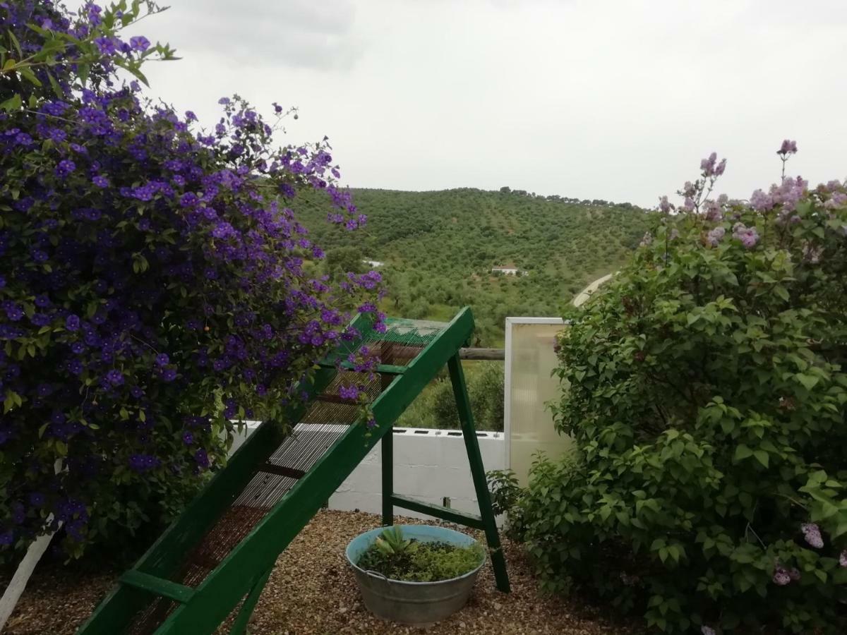 Alojamiento Rural La Perdiz La Puebla de los Infantes Ngoại thất bức ảnh